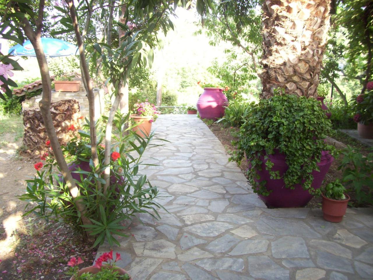 Hotel Elytis Potistika Exterior foto